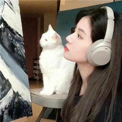 神捕铁飞花之冤冤相报